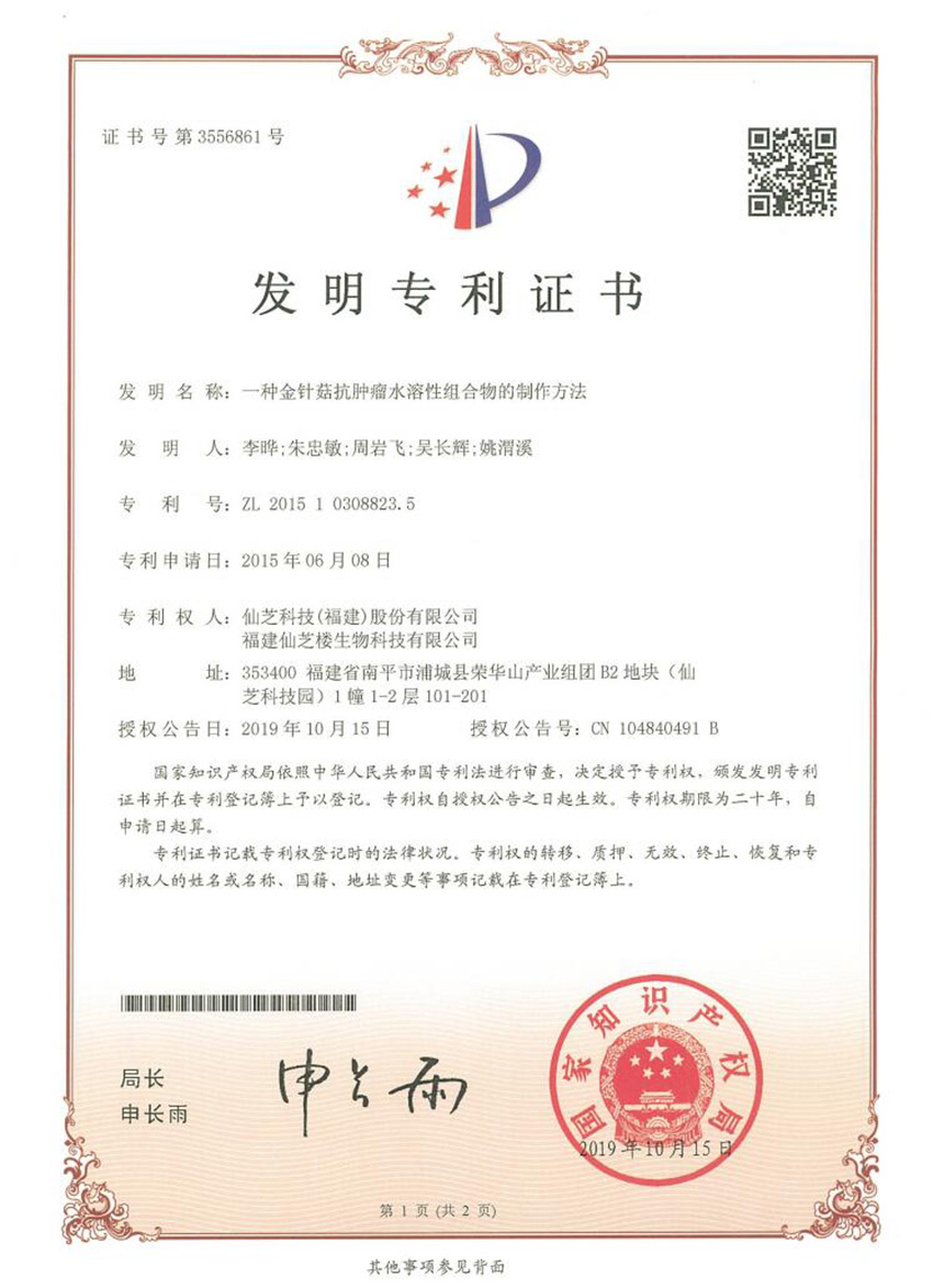  发明专利